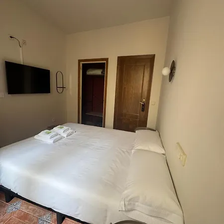 Hotel Bedmates Centro